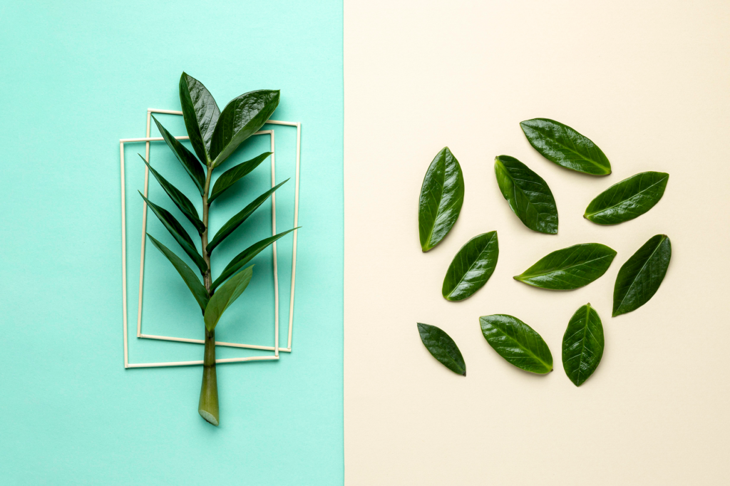 L’Ouest en Feng Shui : Symbolique, Couleurs et Astuces pour Harmoniser votre Intérieur